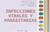 Infecciones virales y parasitarias en el embarazo