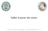 Taller colon 2012