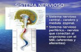 8. Sistema Nervioso