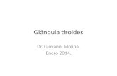 Patología de glándula tiroides: lesiones inflamatorias, hiperplásicas y neoplásicas.