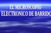Microscopio Electronico De Barrido Meb