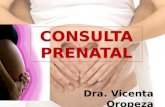 Consulta prenatal Dra. Vicenta Oropeza ObGyn