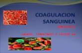 CoagulacióN Sanguinea, Grupos Sanguineos