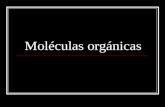 Mol©culas orgnicas