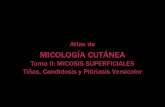 30436095 atlas-de-micologia-cutanea-tomo2