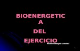 Bioenergetica del ejercicio