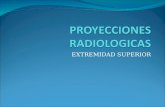 Proyecciones radiológicas