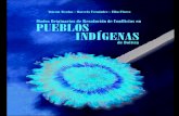 Modos originarios de resolución de conflictos en pueblos Indígenas de Bolivia