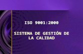 Sistema Gestion de Calidad - ISO9001