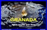 Granada, Agua Oculta Que Llora