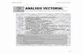 7 análisis vectorial
