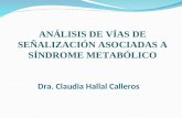 Análisis de vías de señalización asociadas a síndrome metabólico