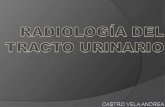 Radiologia Renal Final