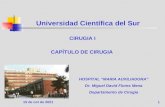 HMA UCSUR Cirugia I Clases 01 02   Generalidades   Dr. Flores