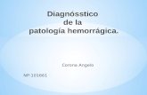 Patologia hemorrágica. Diagnóstico