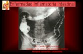 Enfermedad inflamatoria intestinal (1)