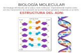 Biología molecular ing. genética biotecnología reprod asistida