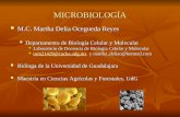 Microbiologia programa 1