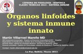 Organos del sistema inmune e inmunidad innata