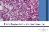 Histología del sistema inmune