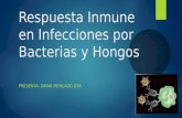 Respuesta inmune en_infecciones_por_bacterias_ y hongos
