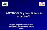 Artrosis 2 2007