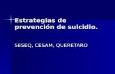 Estrategias De Prevencion De Suicidioquererato 2008