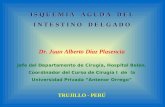 5. Isquemia Aguda Del Intestino Delgado (Otro Ciclo)