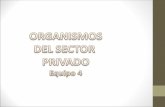 Tema 24. III. Organismos del sector privado. IV. Comisiones competentes en materia de comercio exterior.