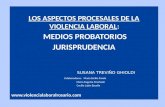 LOS ASPECTOS PROCESALES DE LA VIOLENCIA LABORAL:  MEDIOS PROBATORIOS JURISPRUDENCIA