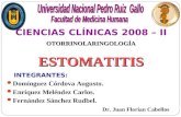 Estomatitis Fmh Unprg Tucienciamedic