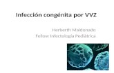 Infección congénita por Virus Varicela Zoster