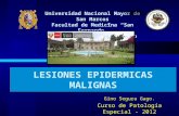 LESIONES EPIDERMICAS MALIGNAS - CANCER DE PIEL