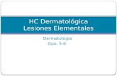 Historia Clínica Dermatológica y Lesiones Elementales