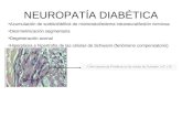Diabetes: ANATOMIA PATOLÓGICA DE NEUROPATIA, MICROANGIOPATIA, DIABETES GESTACIONAL