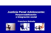 Data Sobre Responsabilidad Penal Adolescente  Mayo 2007 Frabncisco Estrada Chile
