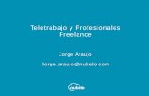 Teletrabajo y Profesionales Freelance