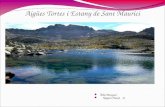 Parc Nacional d'Aigüestortes i estany de Sant Maurici, per Alba i Nayara