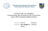 Plan de Negocios: Evaluación de proyecto de inversión para microemprendimiento, por María Celeste Galvarini