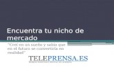 Teleprensa.es. Encuentra tu nicho de mercado