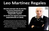 Leo Martínez Regales (Curriculum Vitae en imagenes) 201202