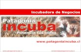 Patagonia incuba lanzamiento inicio