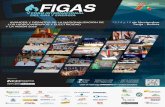 Afiche Foro Internacional del Gas y Energía -FIGAS 2013 en Tarija