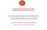 El gasoducto sur peruano  y el desarrollo de puno
