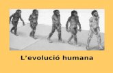 Evoluci³ Humana
