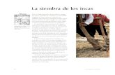 Siembra y cosecha de los Incas