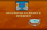 SEGURIDAD EN REDES E INTERNET II