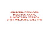 anatomía y fisiología de los insectos