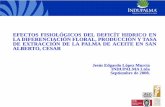 Efectos Fisiologicos déficit hídrico en La Palma de Aceite