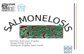 Salmonelosis y Bruce Los Is Eq